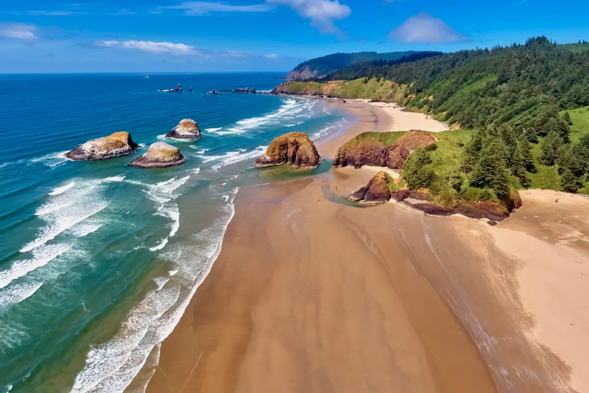 A vibrant coastal vista showcases dramatic rock formations, waves breaking on the sand, and lush greenery bordering the shoreline. The scene is alive with natural beauty and offers the sense of varied beach experiences, from tide pool exploration to picnics by the shore.
